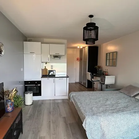 Avec Piscine A 300m De La Royal Park